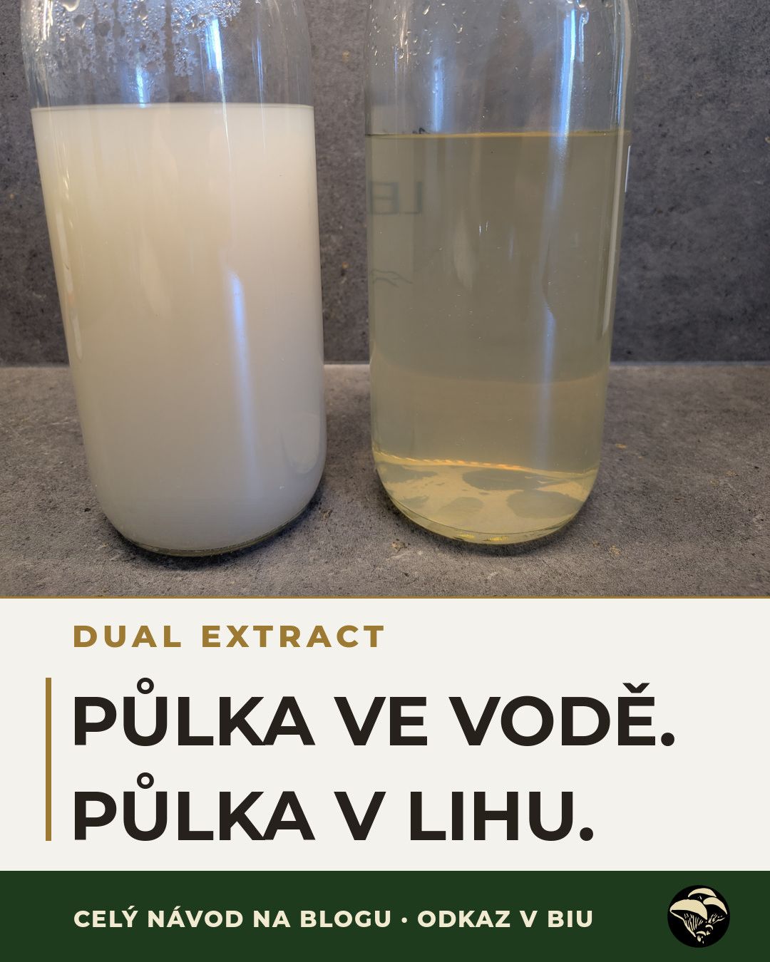 „Dual extract" je pojem z etiket. Znamená tohle:
Houba drží cenné látky ve dvou schránkách — jednu otevře jen voda, druhou jen líh. Kdo použije jedno rozpouštědlo, nechá půlku v houbě. Proto dělám oba výluhy a spojím je.
Vlevo voda, vpravo líh. Celý článek na blogu, odkaz v biu.
#dualextract #vitalnihouby #outkovka #hlivaustricna #tinktura #ceskyles #drhoubicka