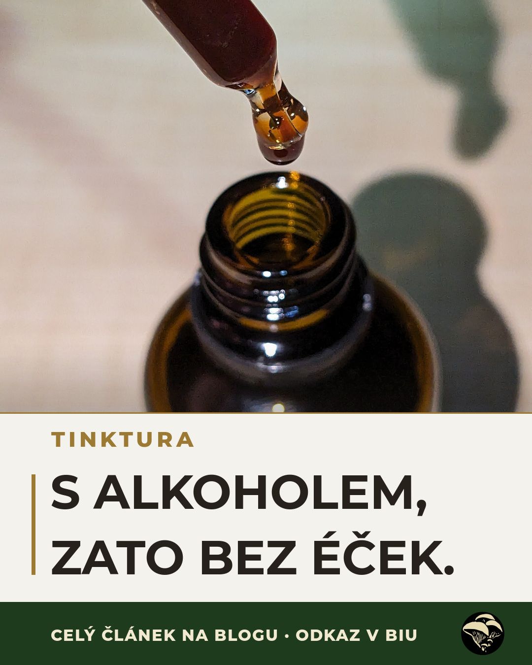 Moje tinktura má tři položky: houba, voda, líh.
Čtrnáct procent alkoholu drží obsah stabilní samo, takže nepotřebuje sorbát ani benzoát. A vytáhne triterpeny, na které je glycerin slabý.
Celý článek na blogu, odkaz v biu.
#tinktura #dualextract #vitalnihouby #outkovka #ceskyles #drhoubicka